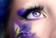 Eyes